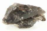 Dark Smoky Quartz Crystal Cluster - Brazil #273004-1